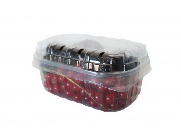 Pojemniki plastikowe na owoce 250 g- 500 szt.