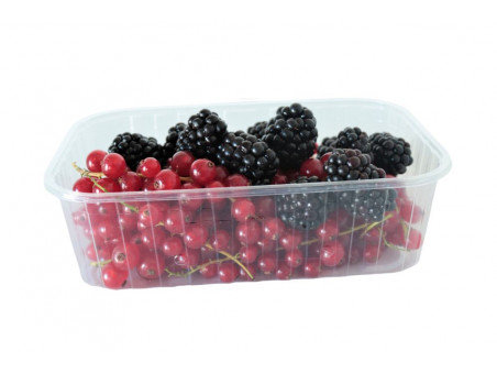 Pojemnik plastikowy na owoce 500 g – 1200 szt. | WikMar
