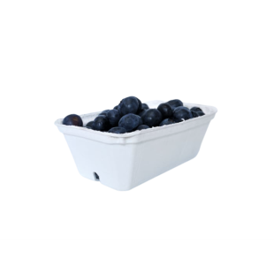 Biały pojemnik na maliny 250 g – 540 szt. | WikMar