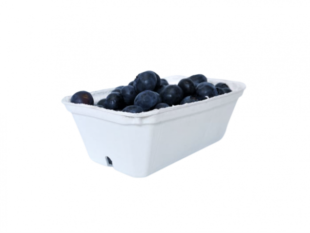 Biały pojemnik na maliny 250 g – 540 szt. | WikMar
